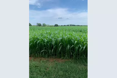 517 County Road 167, Eastland, TX 76448 - Photo 38