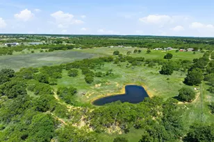 517 Co Rd 167, Eastland, TX 76448 - Photo 4