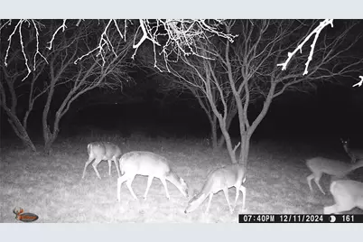 517 County Road 167, Eastland, TX 76448 - Photo 34