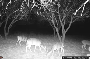 517 Co Rd 167, Eastland, TX 76448 - Photo 34