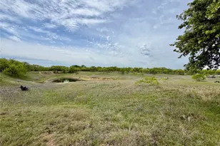 517 Co Rd 167, Eastland, TX 76448 - Photo 36
