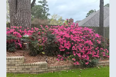1137 Ashwood Drive, Tyler, TX 75703 - Photo 38