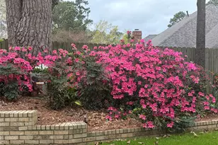 1137 Ashwood Dr, Tyler, TX 75703 - Photo 38