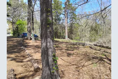 295 James Fannin Road, Honey Grove, TX 75446 - Photo 30