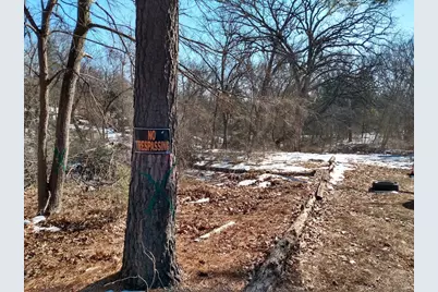 295 James Fannin Road, Honey Grove, TX 75446 - Photo 12