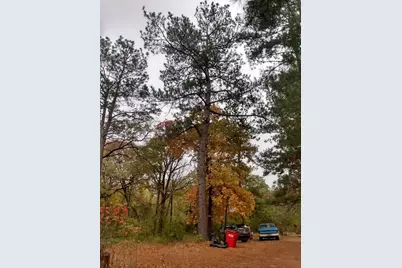 Tbd James Fannin Road, Honey Grove, TX 75446 - Photo 4