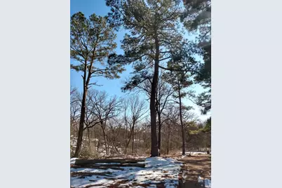 Tbd James Fannin Road, Honey Grove, TX 75446 - Photo 6