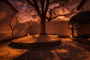 9609 Orchard Hill, Dallas, TX 75243 - Photo 4