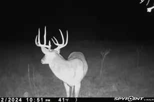 1838 Co Rd 343, Dublin, TX 76446 - Photo 1