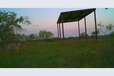 1838 County Road 343, Dublin, TX 76446 - Photo 1