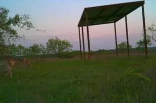 1838 Co Rd 343, Dublin, TX 76446 - Photo 1