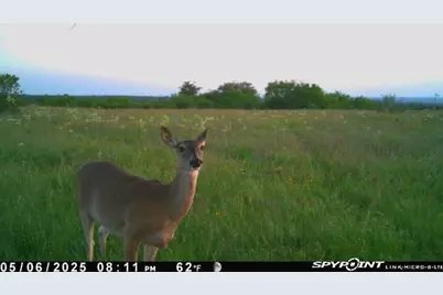 1838 County Road 343, Dublin, TX 76446 - Photo 12