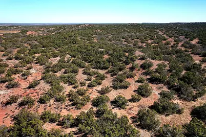 0000 Highway 83, Concan, TX 79201 - Photo 8