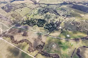 381 County Road 3050, Purdon, TX 76679 - Photo 38