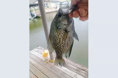 306 Tahiti Drive, Granbury, TX 76048 - Photo 40