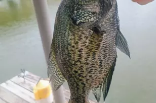 306 Tahiti Dr, Granbury, TX 76048 - Photo 40