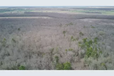 0000 Sandswitch, Ennis, TX 75119 - Photo 28