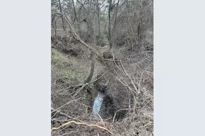 0000 Sandswitch, Ennis, TX 75119 - Photo 2