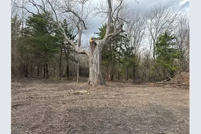 0000 Sandswitch, Ennis, TX 75119 - Photo 22