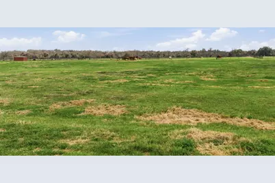 1117 Springfield Road, Springtown, TX 76082 - Photo 38