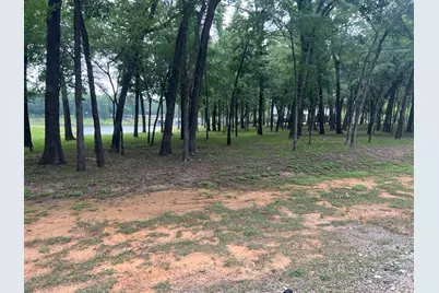 164 Saint Andrews Drive, Mabank, TX 75156 - Photo 16