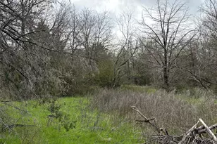 Tbd County Road 666, Kosse, TX 76653 - Photo 8