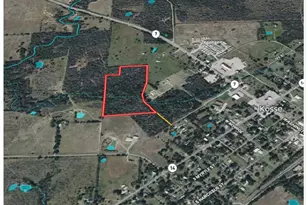 Tbd County Road 666, Kosse, TX 76653 - Photo 10