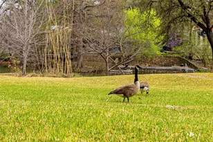 11116 Westmere Cir, Dallas, TX 75230 - Photo 26