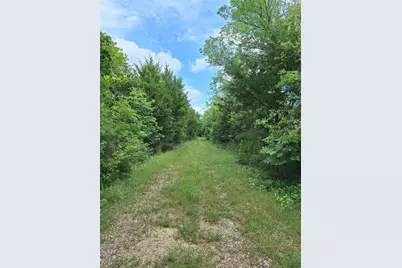 2403 County Road 3210, Dodd City, TX 75438 - Photo 30