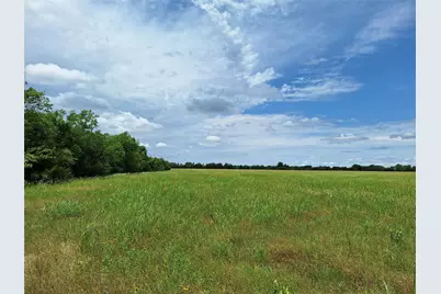 2403 County Road 3210, Dodd City, TX 75438 - Photo 14