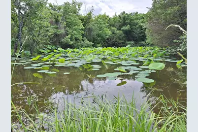 2403 County Road 3210, Dodd City, TX 75438 - Photo 26
