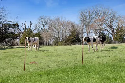 1818 County Road 1151, Cumby, TX 75433 - Photo 38