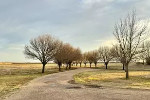 2300 Berend Rd, Pilot Point, TX 76258 - Photo 38