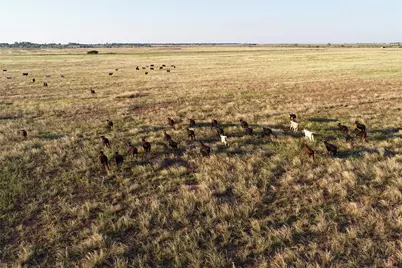 11000 County Road 110 W, Vernon, TX 76384 - Photo 10