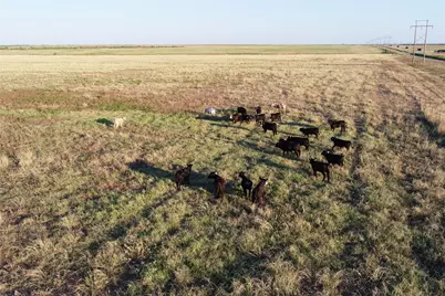 11000 County Road 110 W, Vernon, TX 76384 - Photo 2