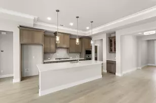 1908 Vittoria Ln, Little Elm, TX 75068 - Photo 38
