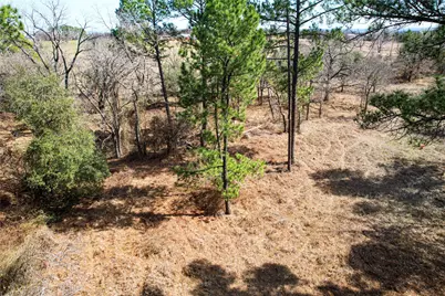 300 Cowboy Court, Granbury, TX 76048 - Photo 2