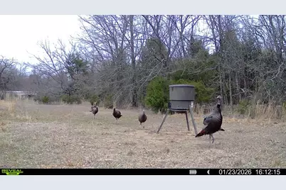 Tbd Fm 274, Bonham, TX 75418 - Photo 12