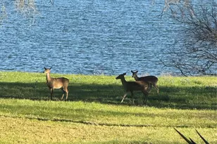 351 County Rd 1723, Clifton, TX 76634 - Photo 38