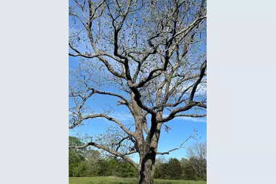 Tbd County Rd 108, Whitesboro, TX 76273 - Photo 22