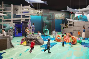 2744 Island Palm Ct, Forney, TX 75126 - Photo 30