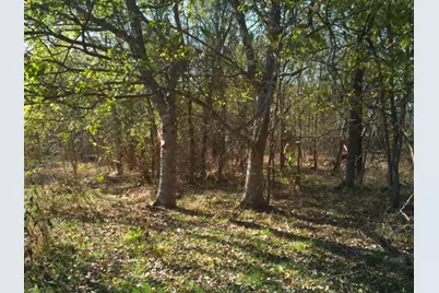 000 N Mlk Jr Highway, Mexia, TX 76667 - Photo 16