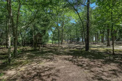 395 County Road 1780, Yantis, TX 75497 - Photo 30