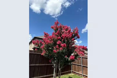 14932 Nightmist Road, Aledo, TX 76008 - Photo 32