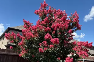 14932 Nightmist Rd, Aledo, TX 76008 - Photo 32