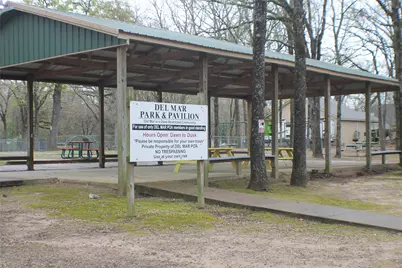 145 Barcelona Street, Payne Springs, TX 75156 - Photo 30