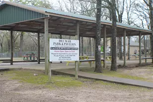 145 Barcelona St, Payne Springs, TX 75156 - Photo 30