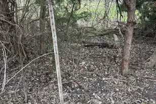 7463 Co Rd 438, Princeton, TX 75407 - Photo 20