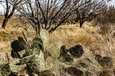 Tbd N Westover Road, Seymour, TX 76380 - Photo 30