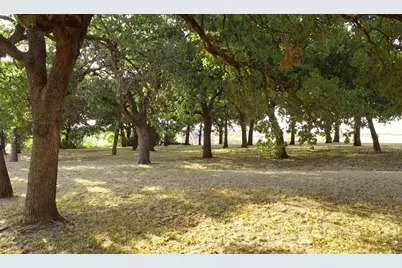 Ss Massey & West Aubrey, Pilot Point, TX 76258 - Photo 6